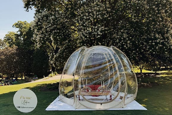 Luxury Bubble Tent Proposal Picnic