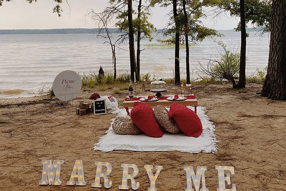 Luxury Proposal Picnic